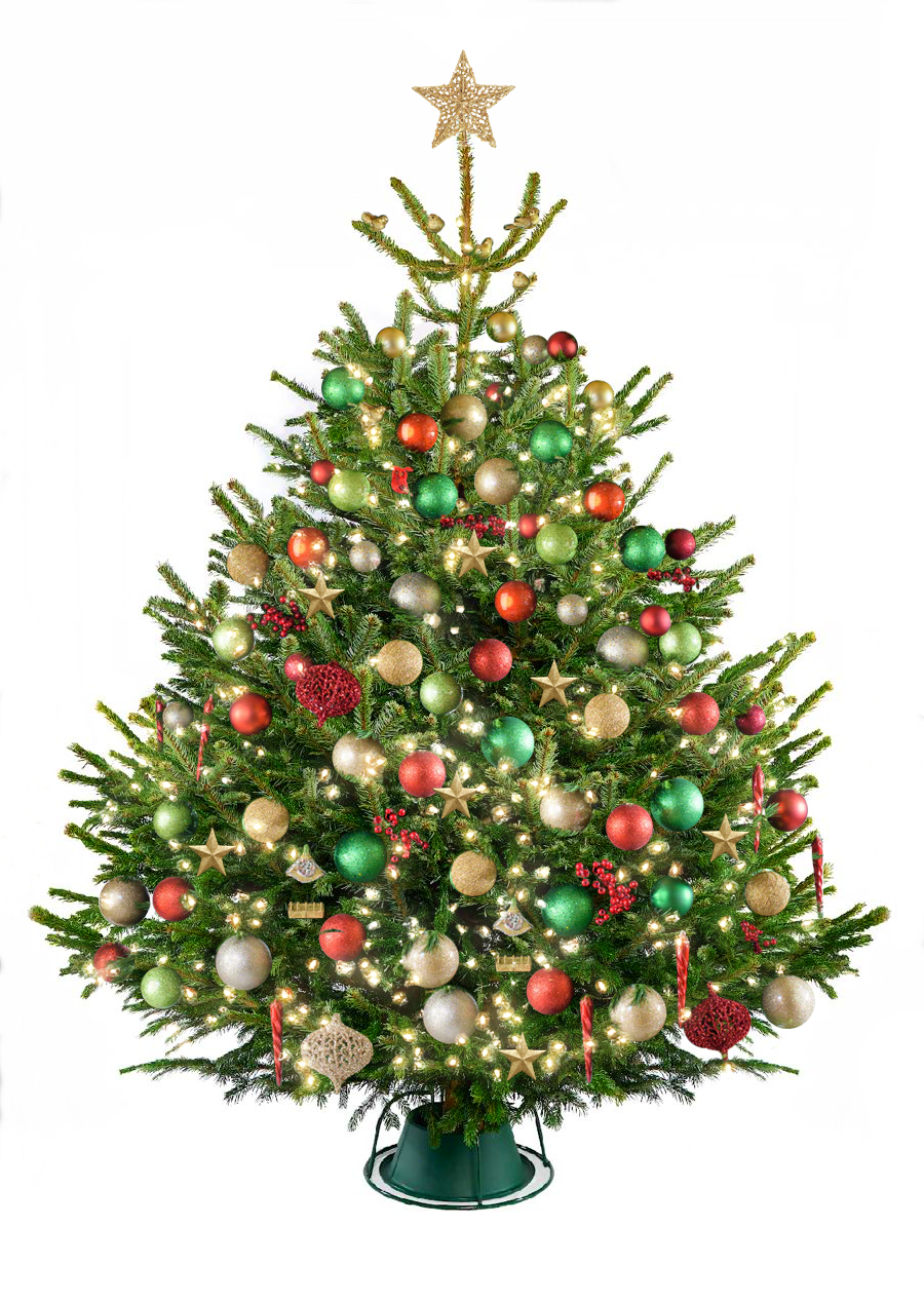 Decorated Christmas tree with colorful ornaments and a star topper on a white background