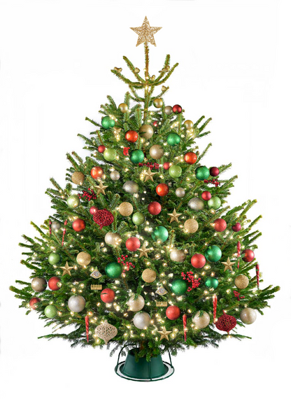 Decorated Christmas tree with colorful ornaments and a star topper on a white background