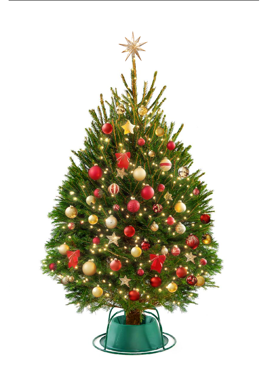 Decorated Christmas tree with colorful ornaments on a white background